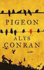 Pigeon kaina ir informacija | Fantastinės, mistinės knygos | pigu.lt