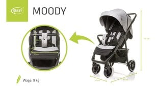 Vežimėlis 4Baby Moody XXII, Grey цена и информация | Тележка | pigu.lt