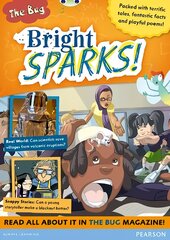 Bug Club Pro Guided Y3 Bright Sparks цена и информация | Книги для подростков и молодежи | pigu.lt