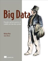 Big Data:Principles and best practices of scalable realtime data systems: Principles and Best Practices of Scalable Realtime Data Systems цена и информация | Книги по экономике | pigu.lt