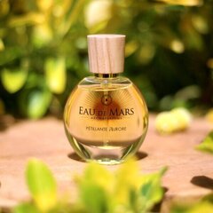 Maison de Mars Парфюмерная вода Eau de Mars Petillante Aurore - Парфюмерная вода 30 мл цена и информация | Женские духи | pigu.lt