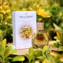 Maison de Mars Парфюмерная вода Eau de Mars Petillante Aurore - Парфюмерная вода 30 мл цена и информация | Женские духи | pigu.lt