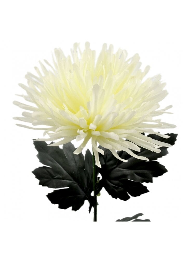Dirbtinė gėlė chrizantema, 70 cm цена и информация | Dirbtinės gėlės | pigu.lt