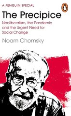 Precipice: Neoliberalism, the Pandemic and the Urgent Need for Radical Change цена и информация | Книги по социальным наукам | pigu.lt