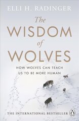 Wisdom of Wolves: How Wolves Can Teach Us To Be More Human цена и информация | Биографии, автобиогафии, мемуары | pigu.lt