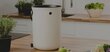 Virtuvinis komposteris Bokashi, Skaza Organko 2, 9,6 L, natūraliai baltos spalvos, 1kg Bokashi granulių цена и информация | Komposto dėžės, lauko konteineriai | pigu.lt