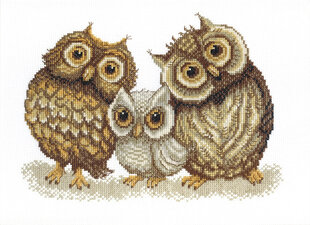 BT-067 Siuvinėjimo rinkinys Crystal Art "Family of owls" цена и информация | Принадлежности для вышивания | pigu.lt