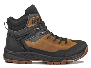 Мужские ботинки Icepeak Abaco 78273-2*150 6438522845009, коричневые цена и информация | Мужские ботинки | pigu.lt
