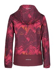 Icepeak vaikiška softshell striukė Kiana 51910-2*689 6438522630278 kaina ir informacija | Megztiniai, bluzonai, švarkai mergaitėms | pigu.lt