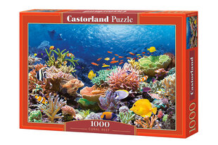 Dėlionė Castorland Coral Reef, 1000 dalių kaina ir informacija | Dėlionės (puzzle) | pigu.lt