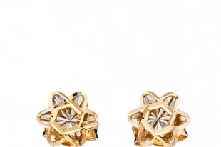 Auksiniai auskarai moterims Gėlytė kaina ir informacija | Auskarai | pigu.lt