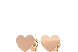Золотые серьги "Сердечки" цена и информация | Серьги | pigu.lt