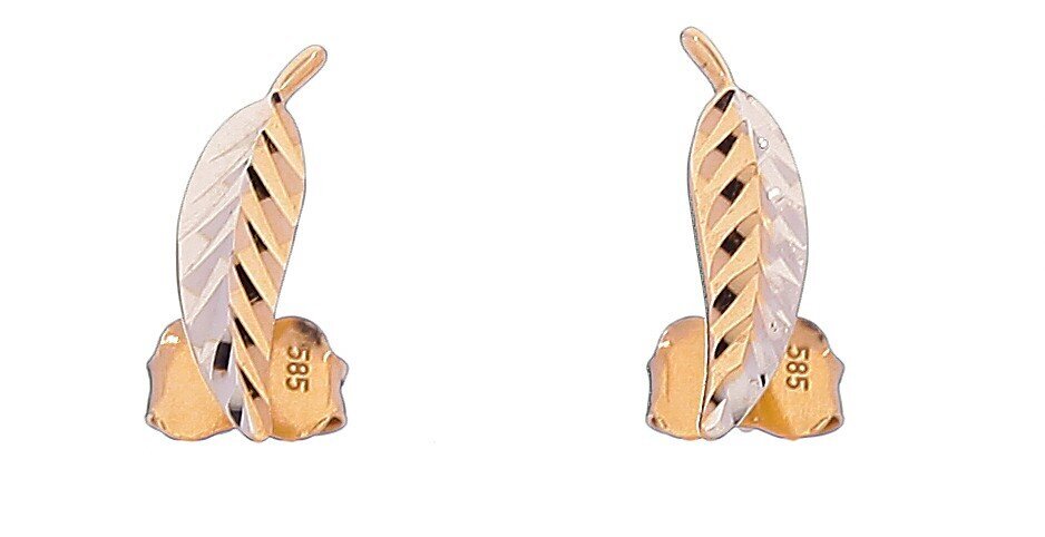 Auksiniai auskarai moterims Lapeliai kaina ir informacija | Auskarai | pigu.lt