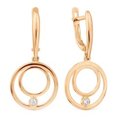 Auksiniai auskarai moterims su cirkoniu kaina ir informacija | Auskarai | pigu.lt