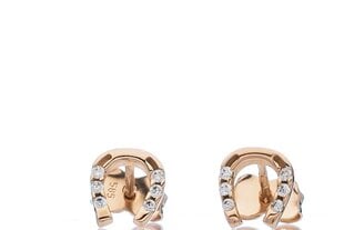 Auksiniai auskarai moterims su cirkoniais Pasaga kaina ir informacija | Auskarai | pigu.lt