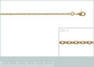 Цепочка с золотым покрытием 750°, 60 см, произведено во Франции цена и информация | Женское колье | pigu.lt