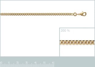 Цепочка с золотым покрытием 750°, 60 см, произведено во Франции цена и информация | Украшения на шею | pigu.lt