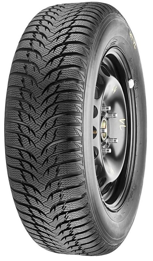 Marshal / Kumho MW31 205/55R16 91 T kaina ir informacija | Žieminės padangos | pigu.lt