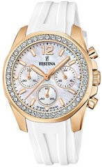 Laikrodis moterims Festina 206111 kaina ir informacija | Moteriški laikrodžiai | pigu.lt