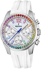 Часы Festina 20610/2 цена и информация | Женские часы | pigu.lt