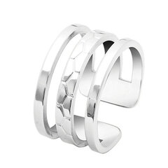 Pierre Lannier Минималистское стальное кольцо Ariane BJ07A310 цена и информация | Кольцо | pigu.lt