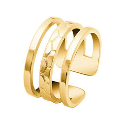 Metalinis žiedas Pierre Lannier BJ07A320 kaina ir informacija | Žiedai | pigu.lt