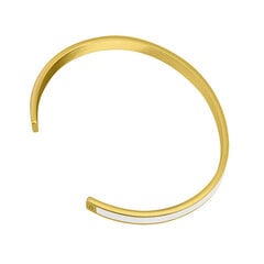 Pierre Lannier Позолоченный браслет Symphony BJ04A5218 цена и информация | Женские браслеты | pigu.lt