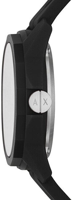 Moteriškas laikrodis Armani Exchange AX1726 kaina ir informacija | Moteriški laikrodžiai | pigu.lt