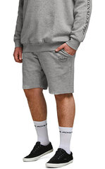 Мужские шорты JJI SHARK 12187092 Светло-Серый Меланж цена и информация | Мужские шорты | pigu.lt