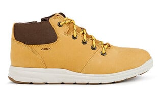 Laisvalaikio batai vyrams Geox U Hallson U165UA-00032-C5046, rudi kaina ir informacija | Kedai vyrams | pigu.lt