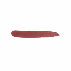 Lūpų žymeklis Kiko Milano Long Lasting Colour Lip Marker, 111 Brick Red kaina ir informacija | Lūpų dažai, blizgiai, balzamai, vazelinai | pigu.lt