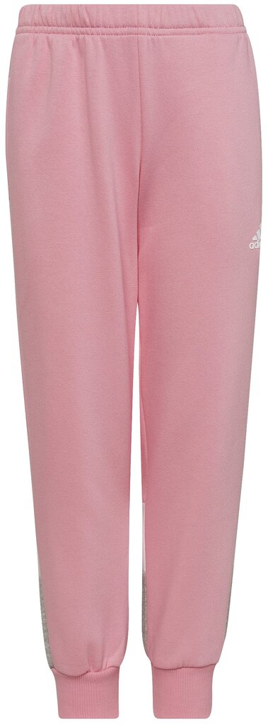 Sportinis kostiumas mergaitėms Lk Cb Fl Ts Grey Pink HU0430 HU0430/104 kaina ir informacija | Komplektai mergaitėms | pigu.lt