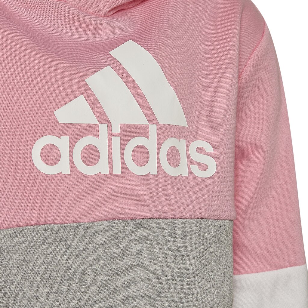 Sportinis kostiumas mergaitėms Lk Cb Fl Ts Grey Pink HU0430 HU0430/104 kaina ir informacija | Komplektai mergaitėms | pigu.lt