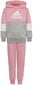Sportinis kostiumas mergaitėms Lk Cb Fl Ts Grey Pink HU0430 HU0430/104 kaina ir informacija | Komplektai mergaitėms | pigu.lt