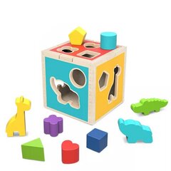 Tooky Toy Wooden Sorter Cube цена и информация | Развивающие игрушки | pigu.lt