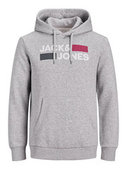 Džemperis vyrams Jack&Jones 12163777, pilkas kaina ir informacija | Džemperiai vyrams | pigu.lt