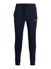 Мужские спортивные штаны JJIWILL 12190310 Navy Blaze r цена и информация | Мужская спортивная одежда | pigu.lt