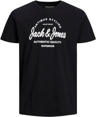 Marškinėliai vyrams Jack&Jones kaina ir informacija | Vyriški marškinėliai | pigu.lt