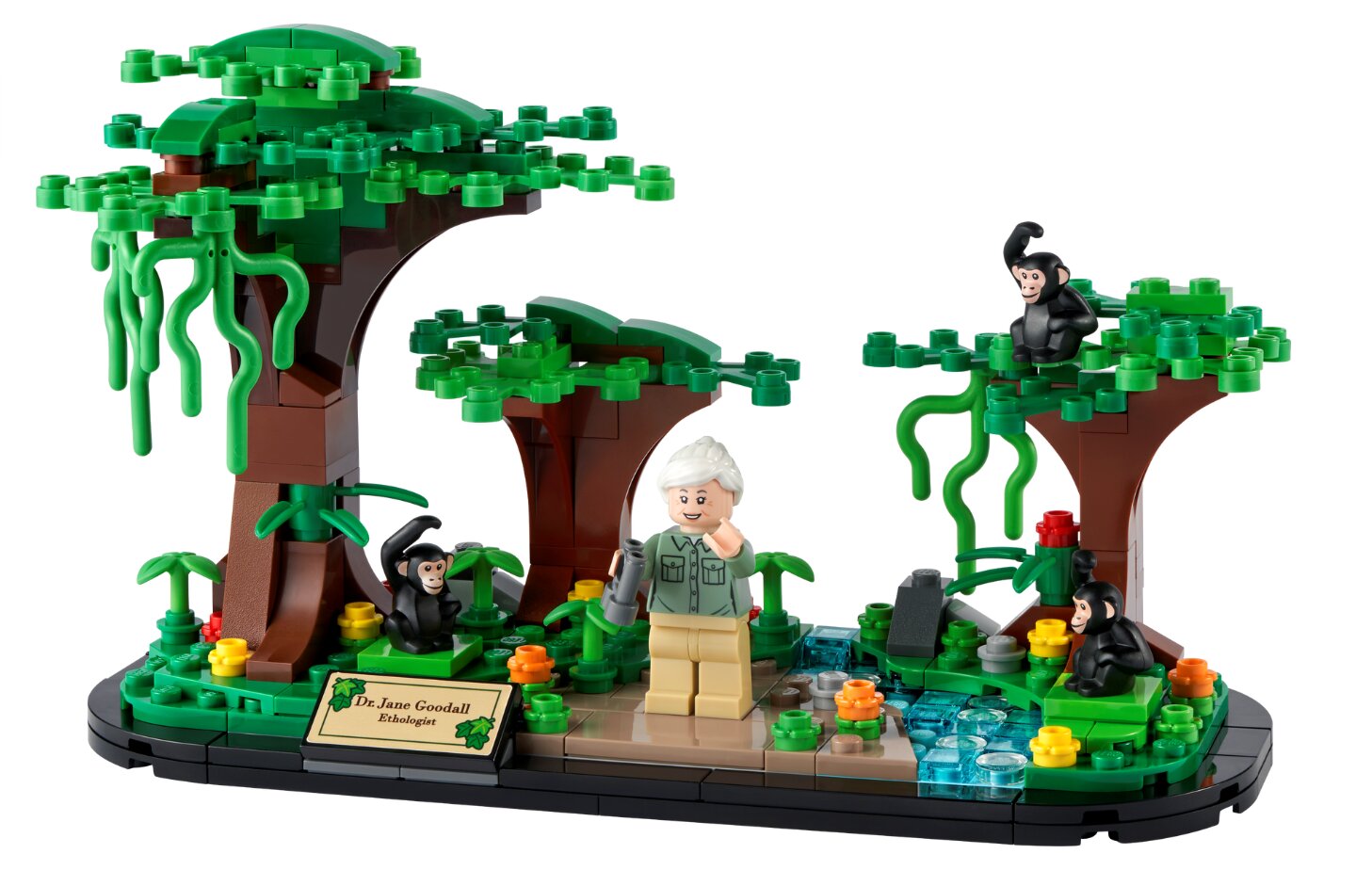40530 LEGO® Jane Goodall Tribute цена и информация | Konstruktoriai ir kaladėlės | pigu.lt