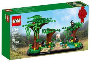 Конструктор 40530 LEGO® Jane Goodall Tribute цена и информация | Конструкторы и кубики | pigu.lt