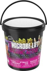 Aktyvi jūros druska Microbe Lift, 20 kg kaina ir informacija | Akvariumai ir jų įranga | pigu.lt