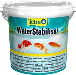 Tvenkinio vandens stabilizatroius Tetra, 1,2 kg kaina ir informacija | Akvariumai ir jų įranga | pigu.lt