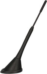 Audioproject A282-Auto Antenna 18cm Raku 2 +-усилитель, совместимый с VW Golf 4 5 6 7 Passat Lupo 6r Audi A6 Opel Corsa Astra Ford Focus Seat Skoda Radio Antenna Dach-Radio цена и информация | Автопринадлежности | pigu.lt