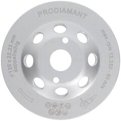 Prodiamant Premium Diamond Schingbar 125 мм бетон Универсальный 125 мм х 22,2 мм измельчающий диск с двойным рядом цена и информация | Механические инструменты | pigu.lt