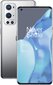 OnePlus 9 Pro 5G Sim 12 GB RAM 256 GB Silver цена и информация | Mobilieji telefonai | pigu.lt