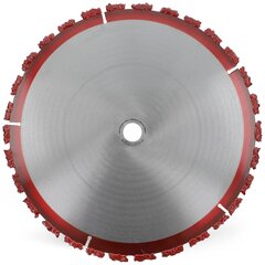 Pjaustymo diskas 350 mm x 20 mm kaina ir informacija | Mechaniniai įrankiai | pigu.lt