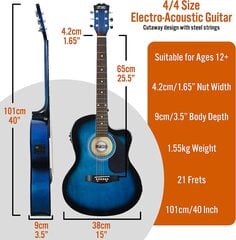 3-й авеню 4/4 размер с вырезом, электрическая акустическая гитара для начинающих, со встроенными тюнерами и эквалайзером-блюзобезом цена и информация | Гитары | pigu.lt