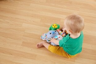 Музыкальная образовательная игрушка для детей с 9 месяцев Fisher -price GRG67 -Bilinki's Koala цена и информация | Игрушки для малышей | pigu.lt