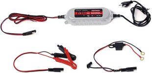 Dino Power Package 1A-6V/12 В интеллектуальное и автоматическое зарядное устройство для аккумулятора | Для свинцовой кислоты, геля, запуска/остановки EFB, AGM батарея | Мотоциклетное зарядное устройство, скутер, скутер, автомобиль, лодка цена и информация | Зарядные устройства для элементов питания | pigu.lt