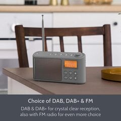 Радио Dab/Dab Plus/FM, небольшие цифровые радиопоративные батареи, Mini Radio Digital Akku & Network Cocpociation Radio, USB -зарядная кабель (Grey) цена и информация | Радиоприемники и будильники | pigu.lt